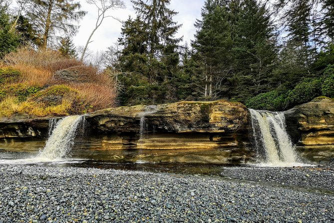 Discover Sooke to Port Renfrew Scenic Tour of Vancouver Islands