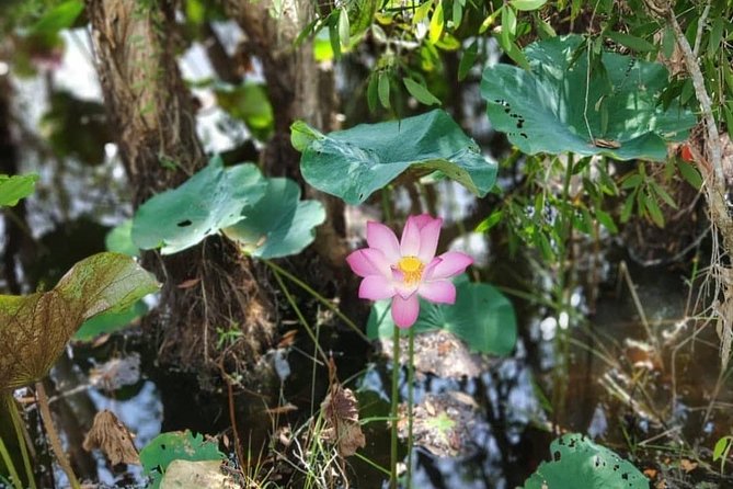 Discover Tan Lap Floating Village From Ho Chi Minh City - How to Get to Tan Lap Floating Village