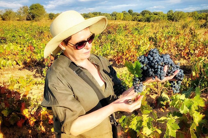 2 Best Wine Tours In Salamanca