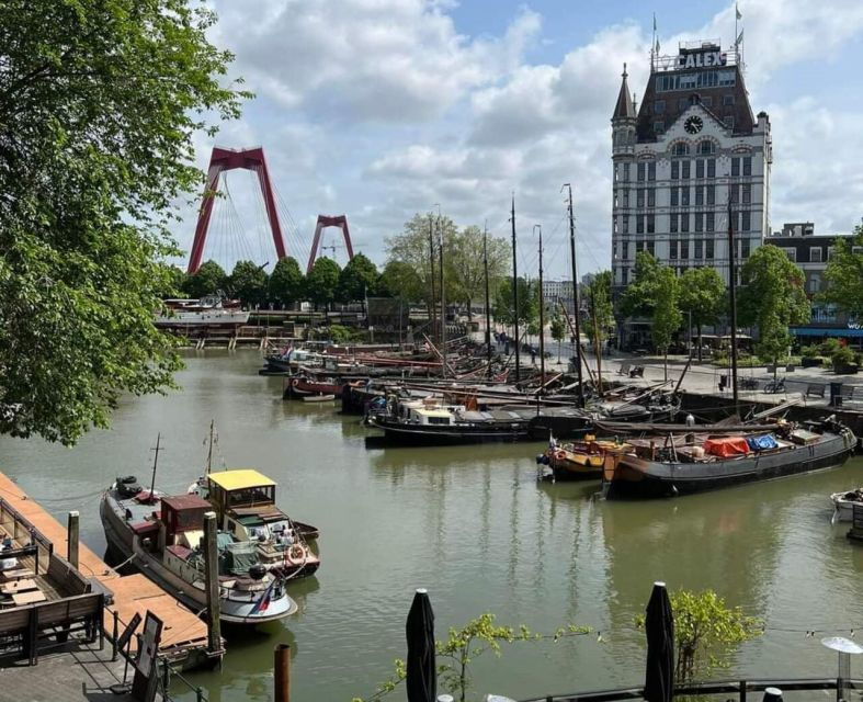 Discover the Hague, Delft & Rotterdam, With Lunch! - Good To Know