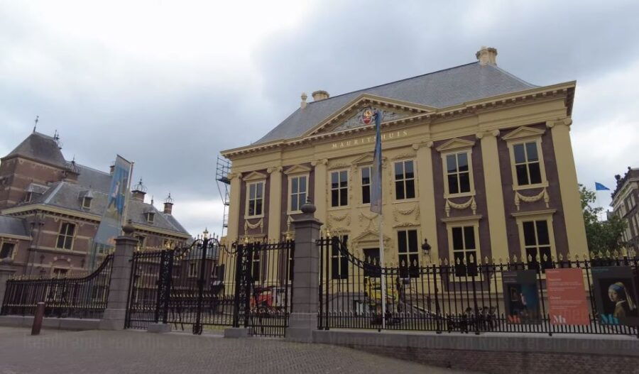 Discover the Hague With a Private Local Guide - Good To Know
