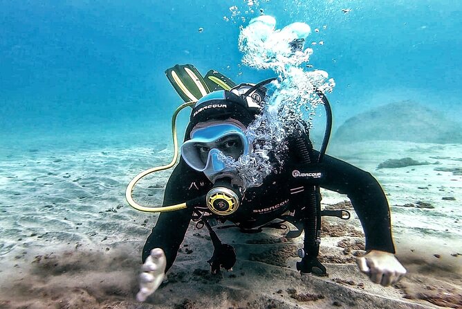 Discover the Underwater World PHOTO and VIDEO for Free - Benefits of Underwater Photography and Videography