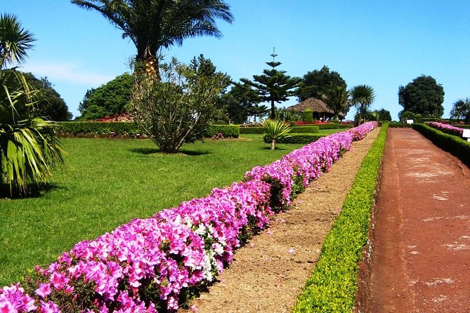 Discover the Unexplored Beauty of the Island by 4×4 Tour – the Nordeste