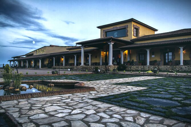 Discover the Winery and Taste Fine Wine in Extremadura