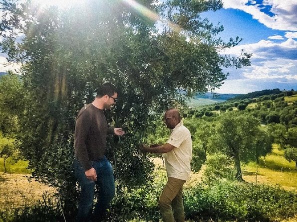 Discovering Extra Virgin Olive Oil - Good To Know