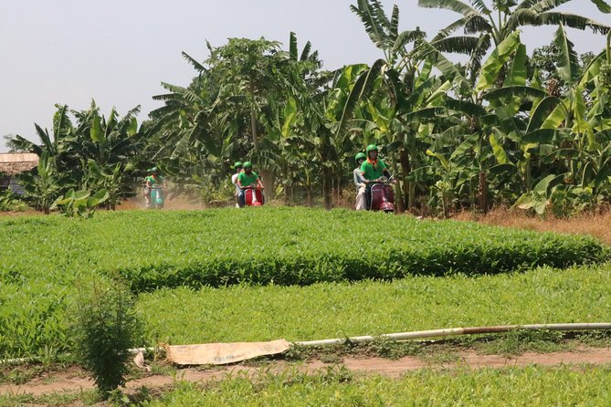 Discovery Mekong Delta and Rural Villages 5 Hours - Exploring Ho Chi Minh Citys History and Culture