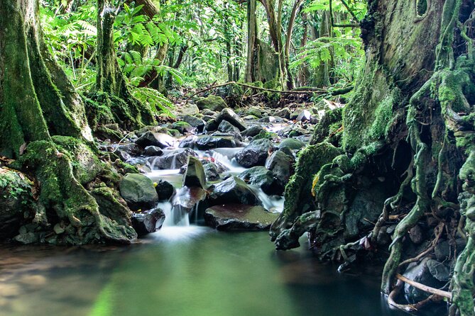 2 Best Workshops And Classes In Moorea