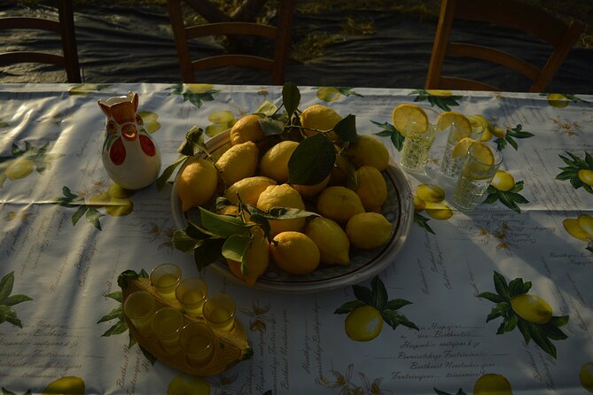 Discovery Tour of Sorrento Lemon in Massa Lubrense - Good To Know