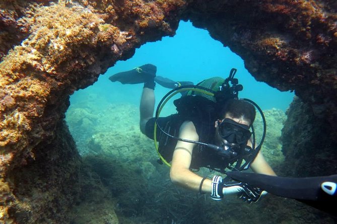 Diving Baptism With Species Identification in Las Canteras