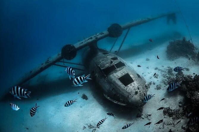 2 Best Scuba Diving Experiences In Tahiti