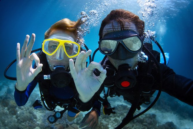 Diving in the Mediterranean Sea