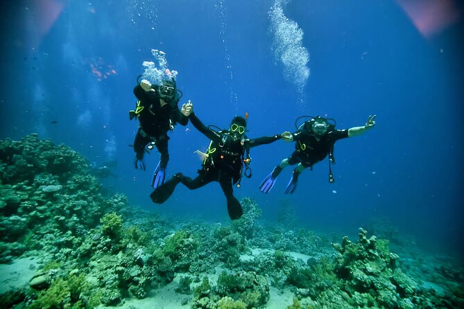 Diving & Snorkeling Day to White Island And Ras Mohamed VIP Boat - Good To Know