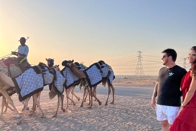 2 Best Tours In Qatar