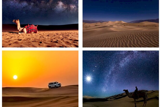Doha : Night Desert Safari Transit Safari Camel Ride Dune Bashing