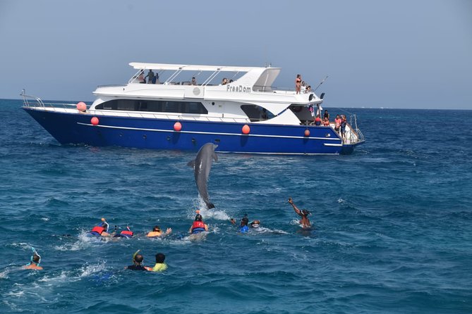 Dolphin House and Banana Boat Fun From Hurghada - Good To Know