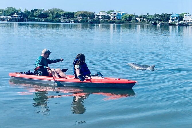 Dolphin, Manatee and Sea Turtle Adventure Tour of St. Augustine - Good To Know