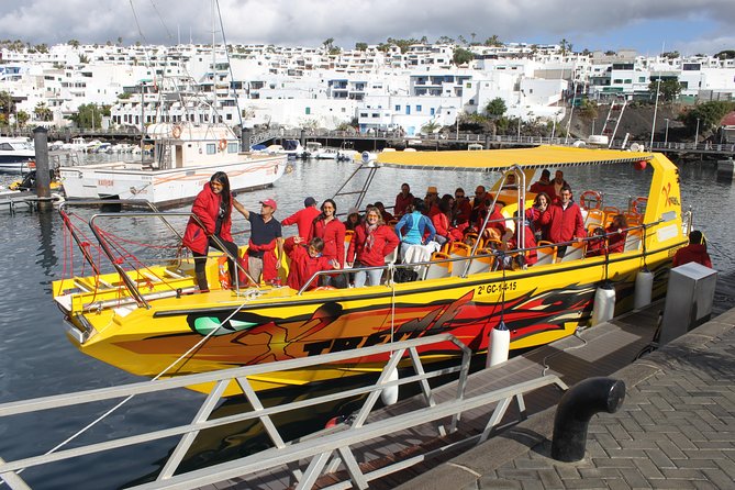 Dolphin Mini Cruise at Playa Del Carmen - Overview of Dolphin Mini Cruise