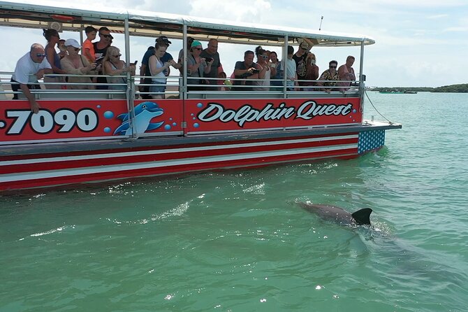 Dolphin Quest - Sightseeing/Eco Cruise, Johns Pass, Madeira Beach, FL - Good To Know