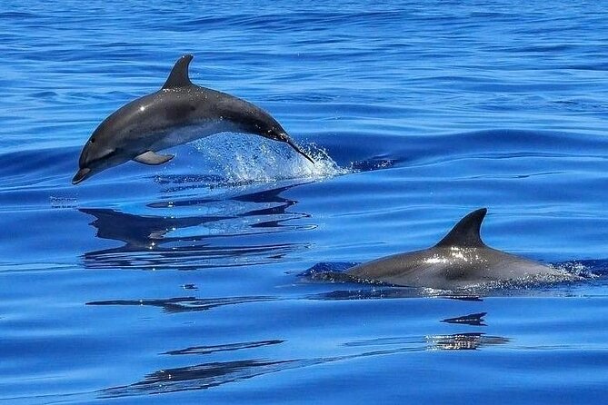 2 Best Snorkeling Experiences In St Petersburg