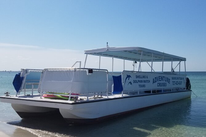 Dolphin /Shelling/Snorkeling Tours Private Charters - Good To Know