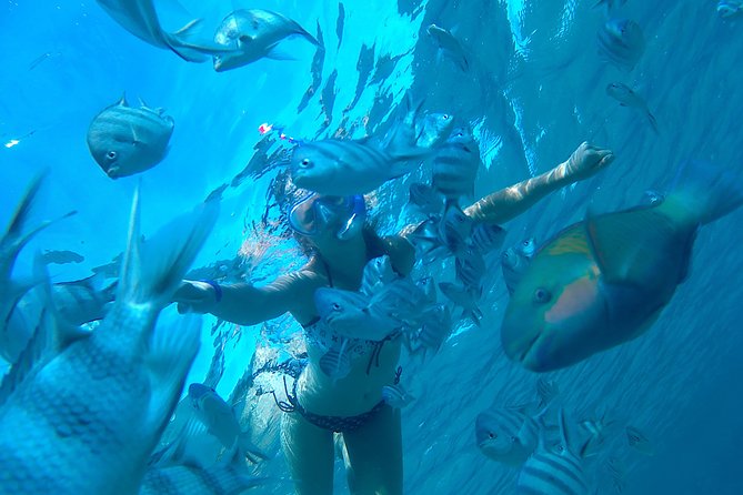 Dolphin Snorkeling Tour From Hurghada, Makadi or El Gouna - Good To Know