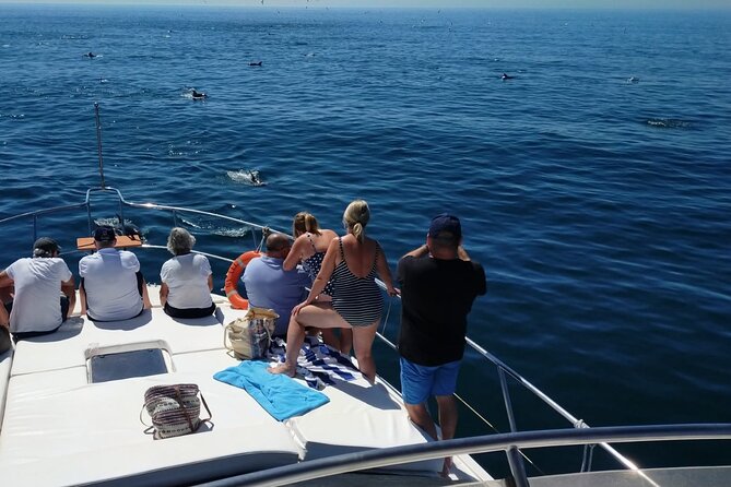 Dolphin Spotting Trips in Fuengirola With Free Drinks and Snacks - Good To Know