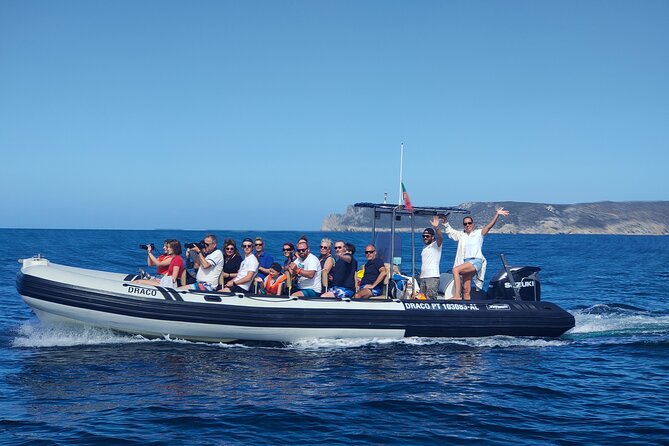 Dolphin Watching and Boat Tour in Sesimbra - Tour Details and Logistics