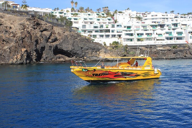 Dolphin Watching Cruise to Lobos Island - Booking Process