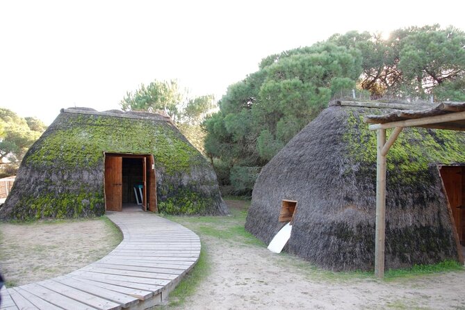 Donana National Park in Two Days From Seville - Good To Know