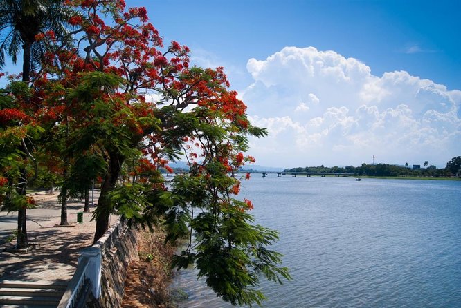 5 Best Private Car With Driver Services in Dong Hoi