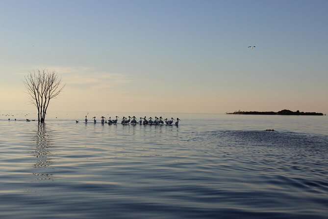 3 Best Boat Tours And Cruises In Green Bay and Door County