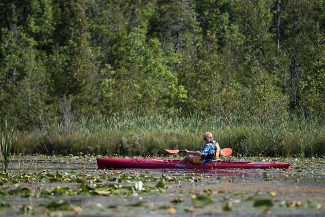Door County Wetlands Kayak Tour