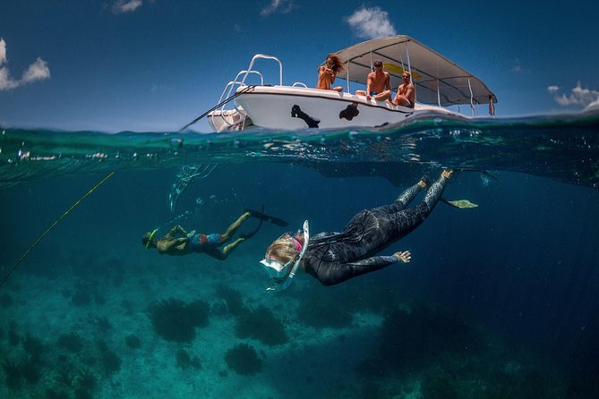 Double Dip Snorkel Trip - Good To Know