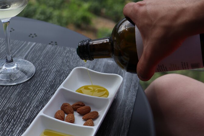 Douro Valley in a Tesla - Tesla Tour in Douro Valley