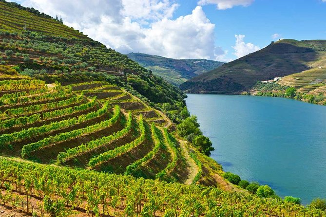 Douro Valley Private Tour From Porto - Good To Know