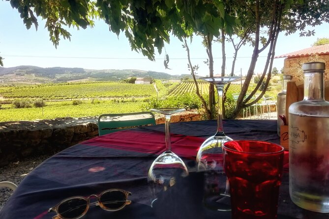 Douro Valley: Small-Group Tour Wine Tasting, Lunch & River Cruise