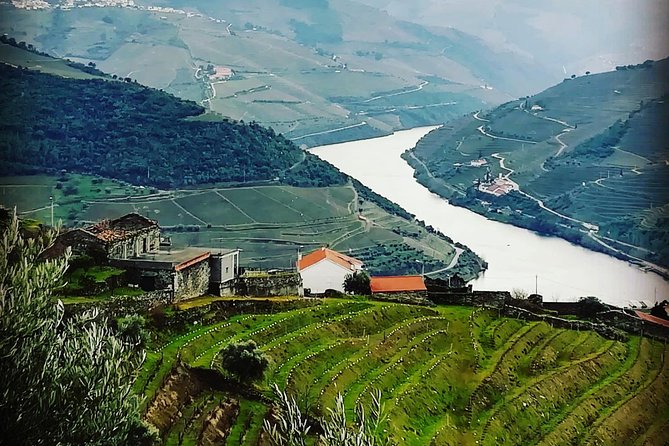 Douro Valley Tour From Porto With Wine, Lunch and River Cruise