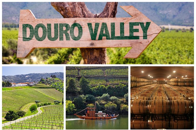 Douro Valley Tour: Wine Tasting, River Cruise & Lunch From Porto