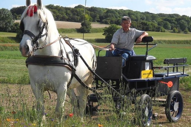 Driving in the Somme Valley