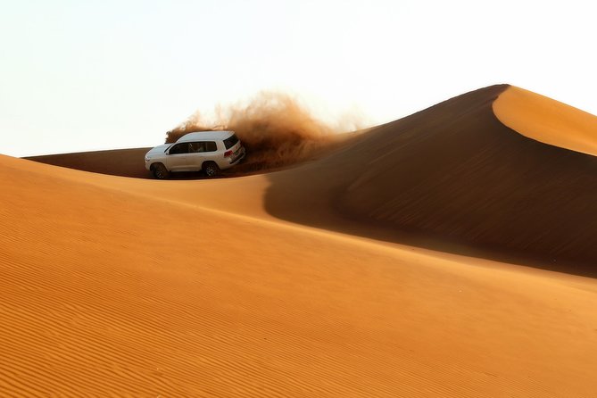 Dubai: Adventure Evening Desert Safari, Camel Ride, Shows & BBQ Dinner - Good To Know