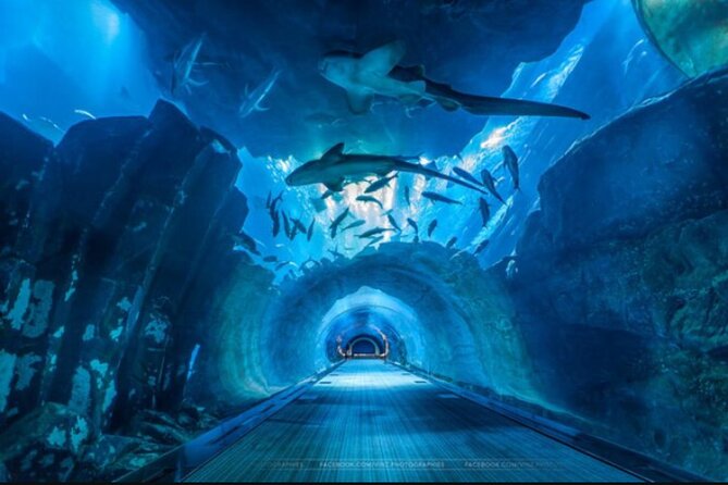 Dubai Aquarium and Underwater Zoo