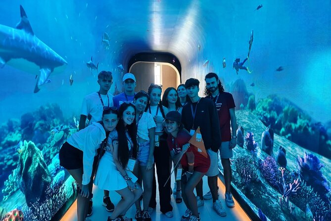 Dubai Aquarium And Underwater Zoo Tickets At Dubai Mall