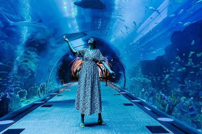Dubai Aquarium and Underwater Zoo Tickets