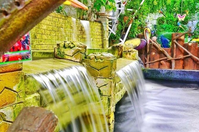 Dubai Butterfly Garden - Good To Know