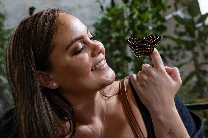 Dubai Butterfly Garden Entry Ticket - Good To Know