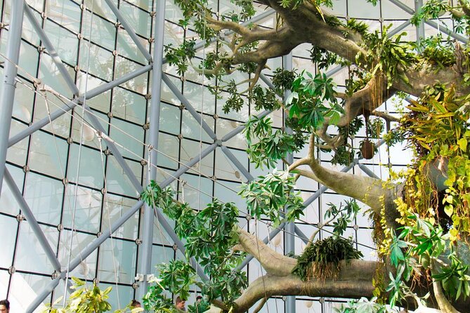 Dubai City Tour With Green Planet Ticket - Good To Know