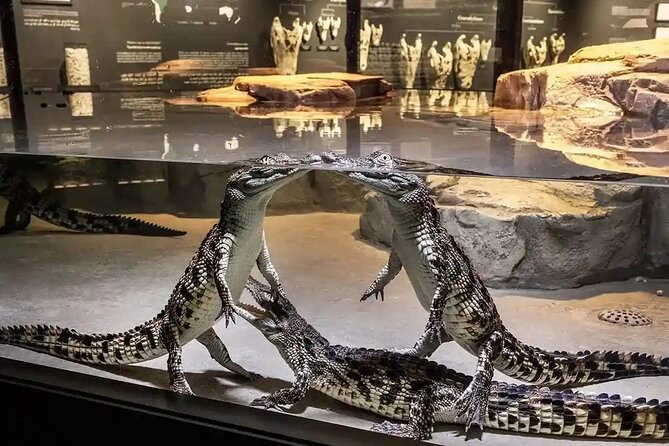 Dubai Crocodile Park Ticket With Optional Private Transfer - Good To Know