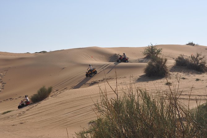 Dubai Desert Afternoon Quad Safari With Camel Ride, BBQ Dinner and Belly Dancing - Good To Know