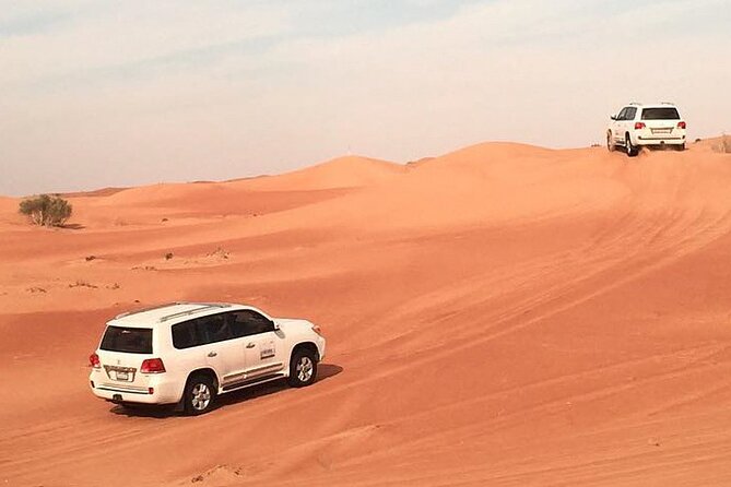 Dubai Desert Afternoon Safari With Camel Ride, BBQ Dinner, and Belly Dancing - Good To Know
