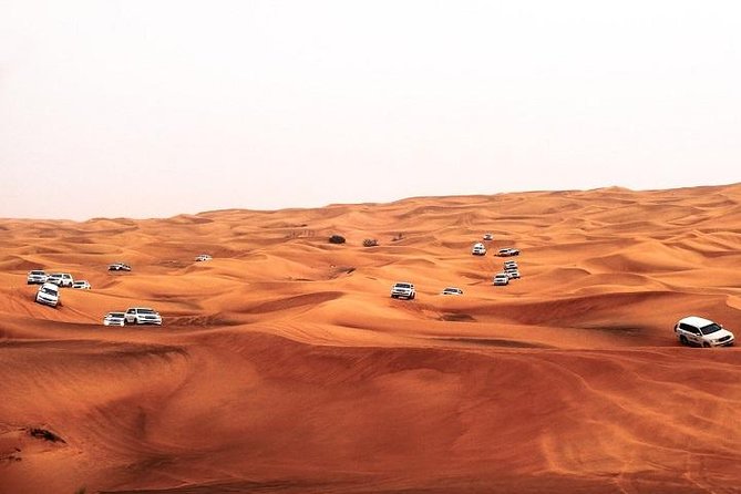 Dubai Desert Safari Red Dune: BBQ, Camel Ride & Sandboarding - Good To Know